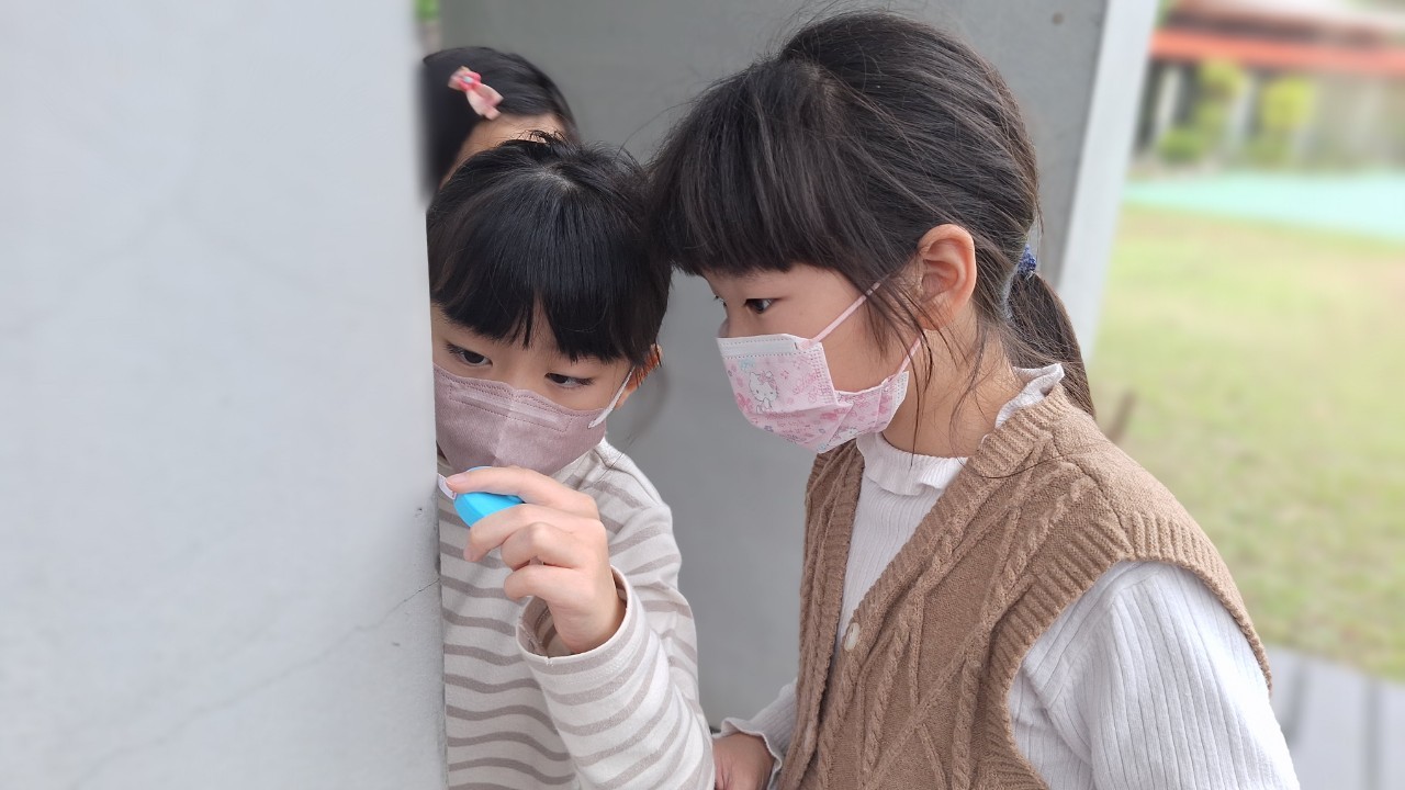 2026冬令營-晨星啟航．童軍之旅