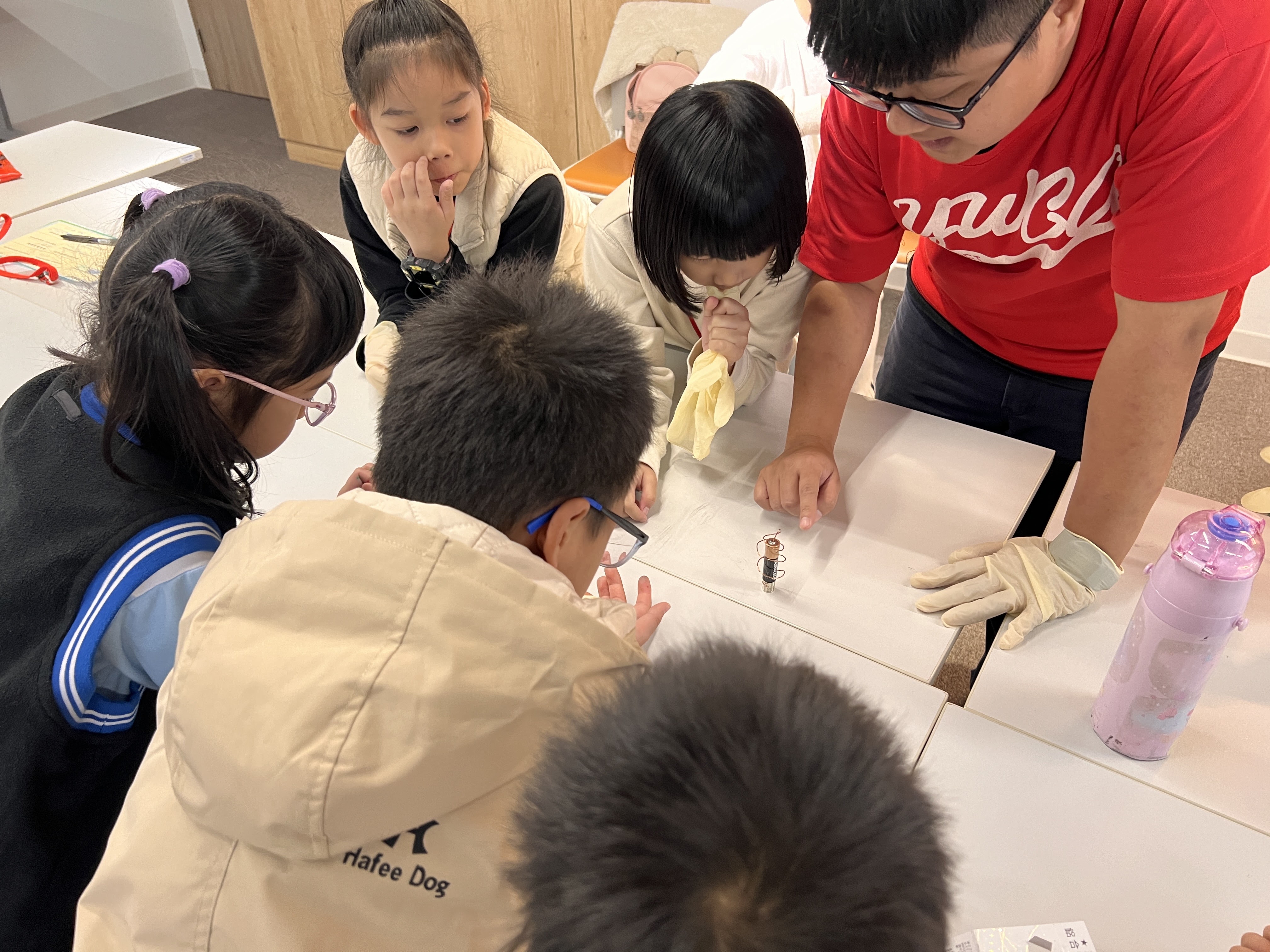 2026冬令營-生物科學大冒險