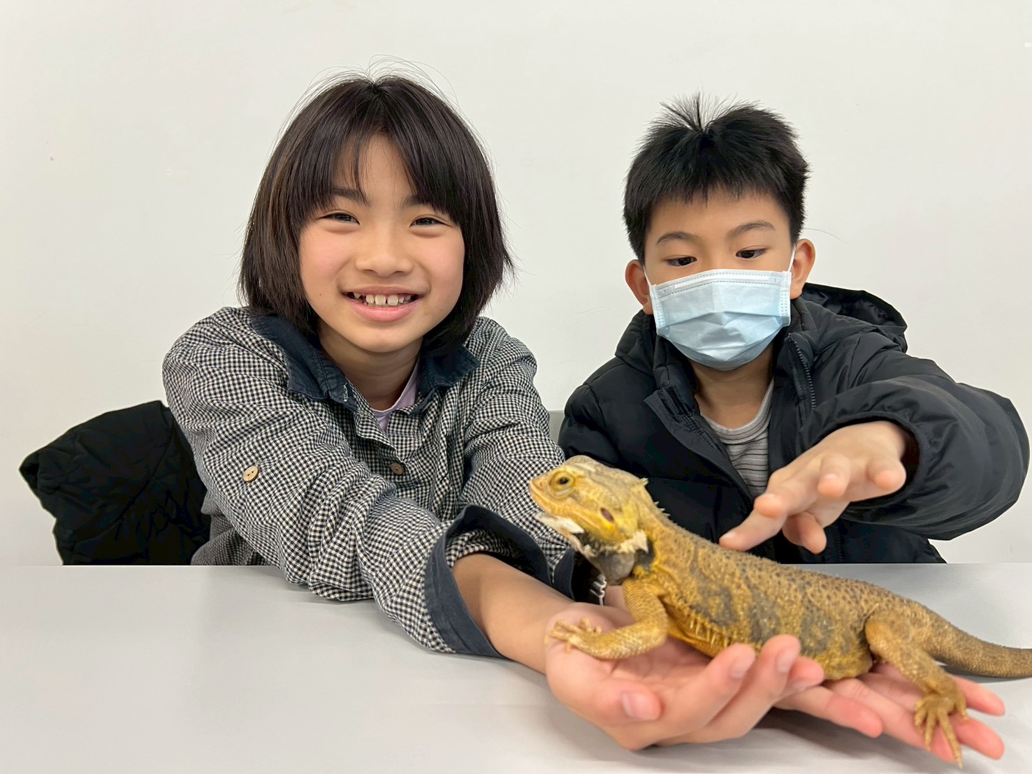 2026夏令營-寶ké夢訓練家