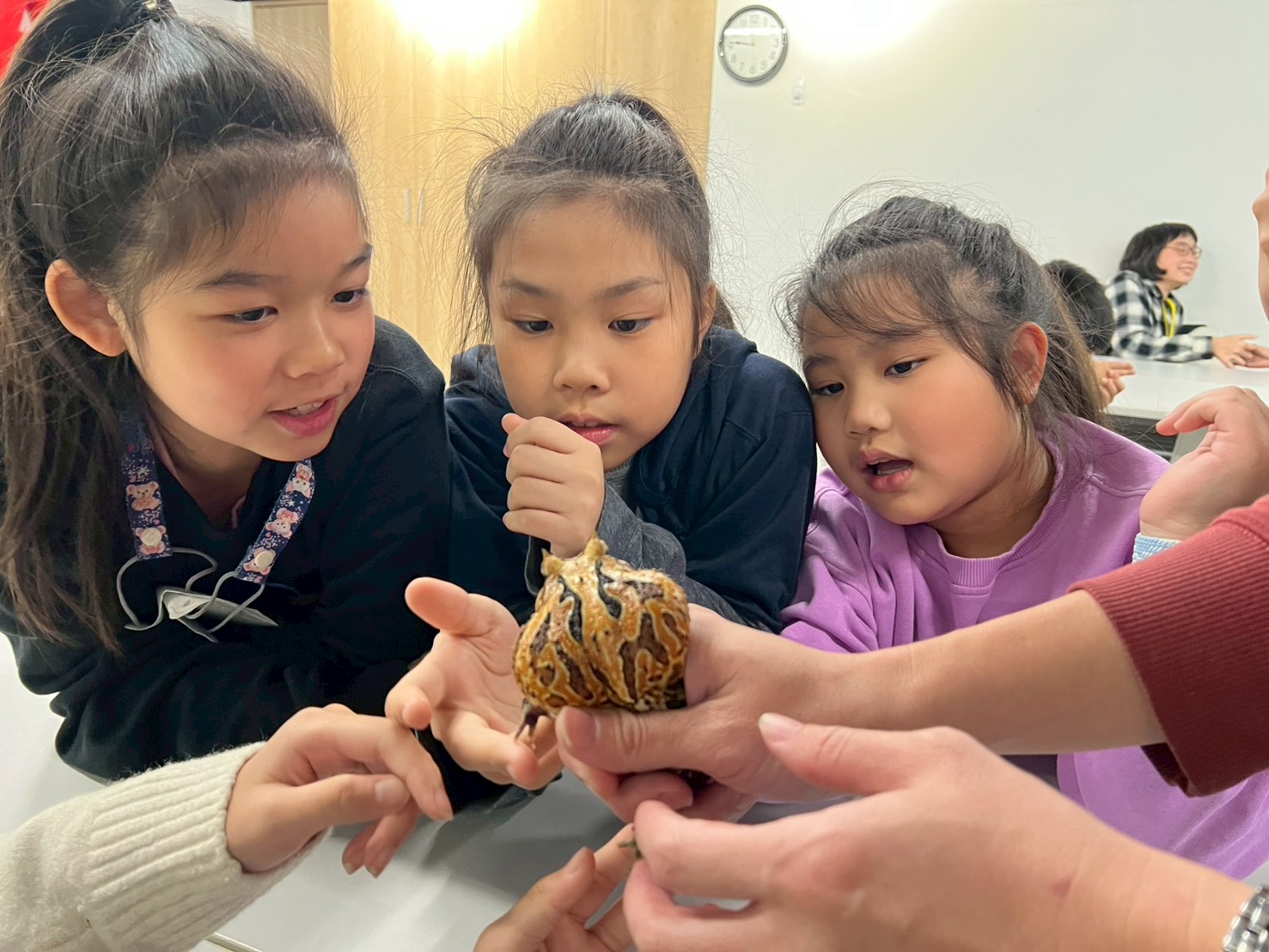 2026夏令營-寶ké夢訓練家