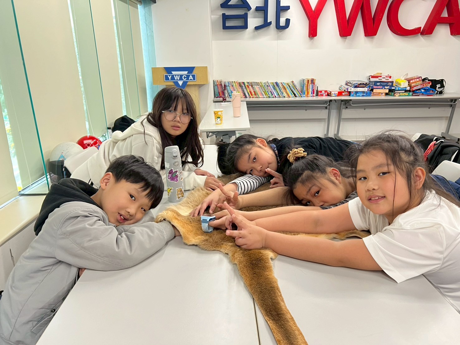 2026夏令營-寶ké夢訓練家