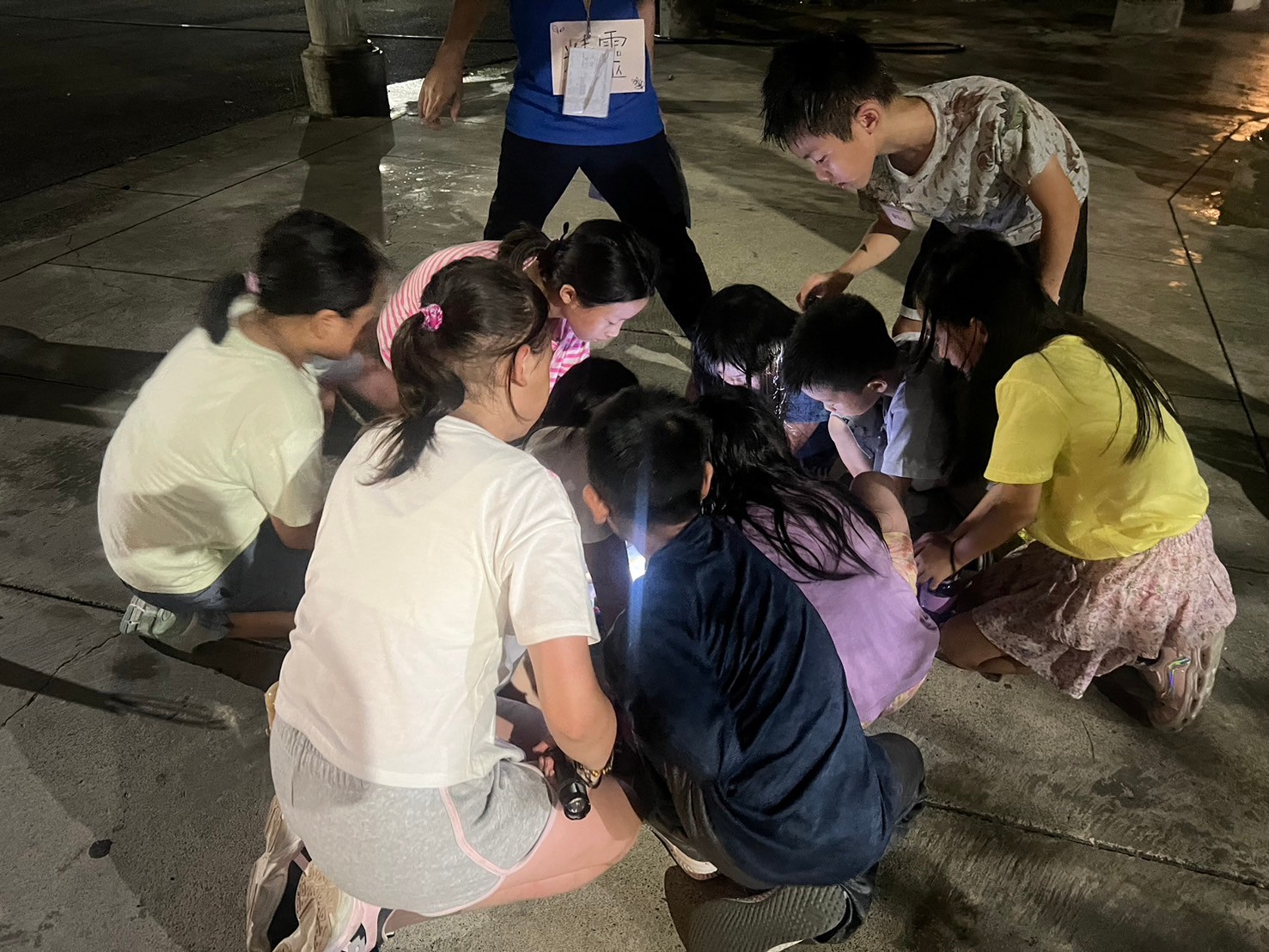 2026夏令營-勇闖動物Fun城市