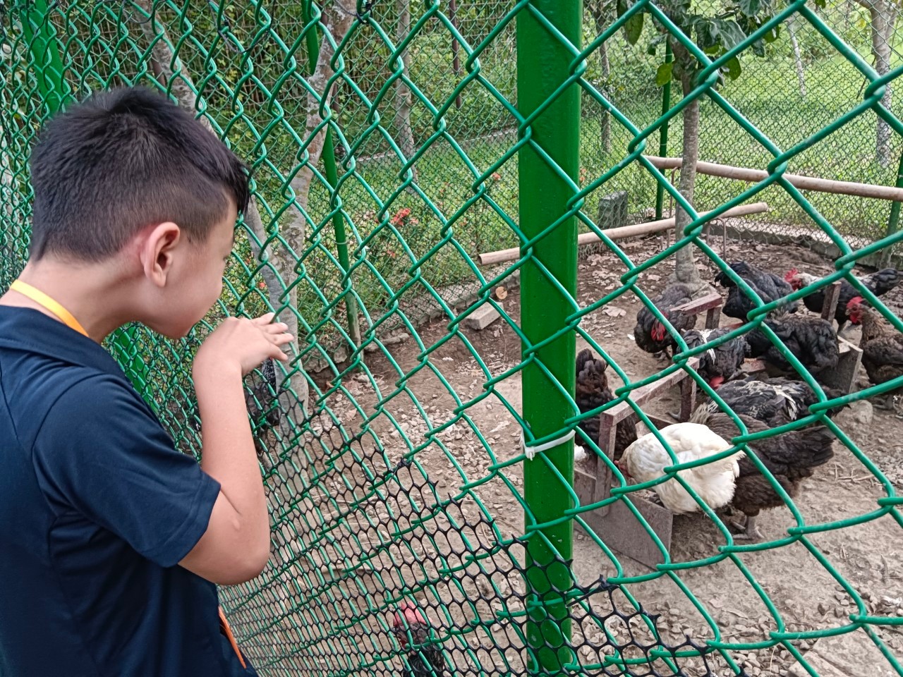 2026夏令營-勇闖動物Fun城市